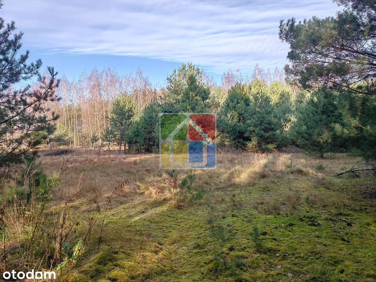 Blisko lasu i rzeczki – atrakcyjna działka pod zabudowę jednorodzinną!-4