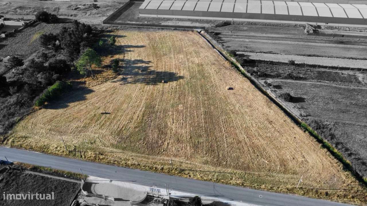 Terreno industrial em Benavente-10