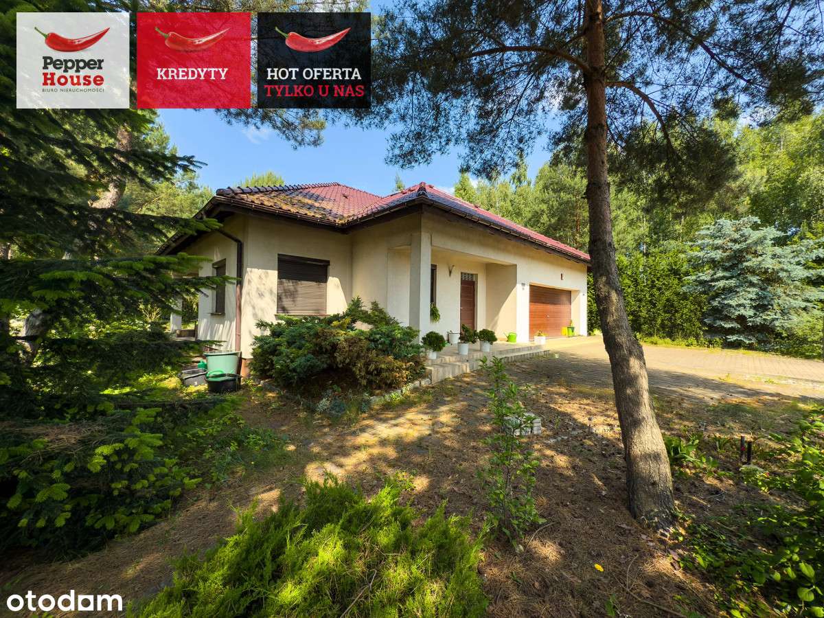 Prywatny azyl wśród drzew - Osielsko! - Pełny obrazek: 4/20