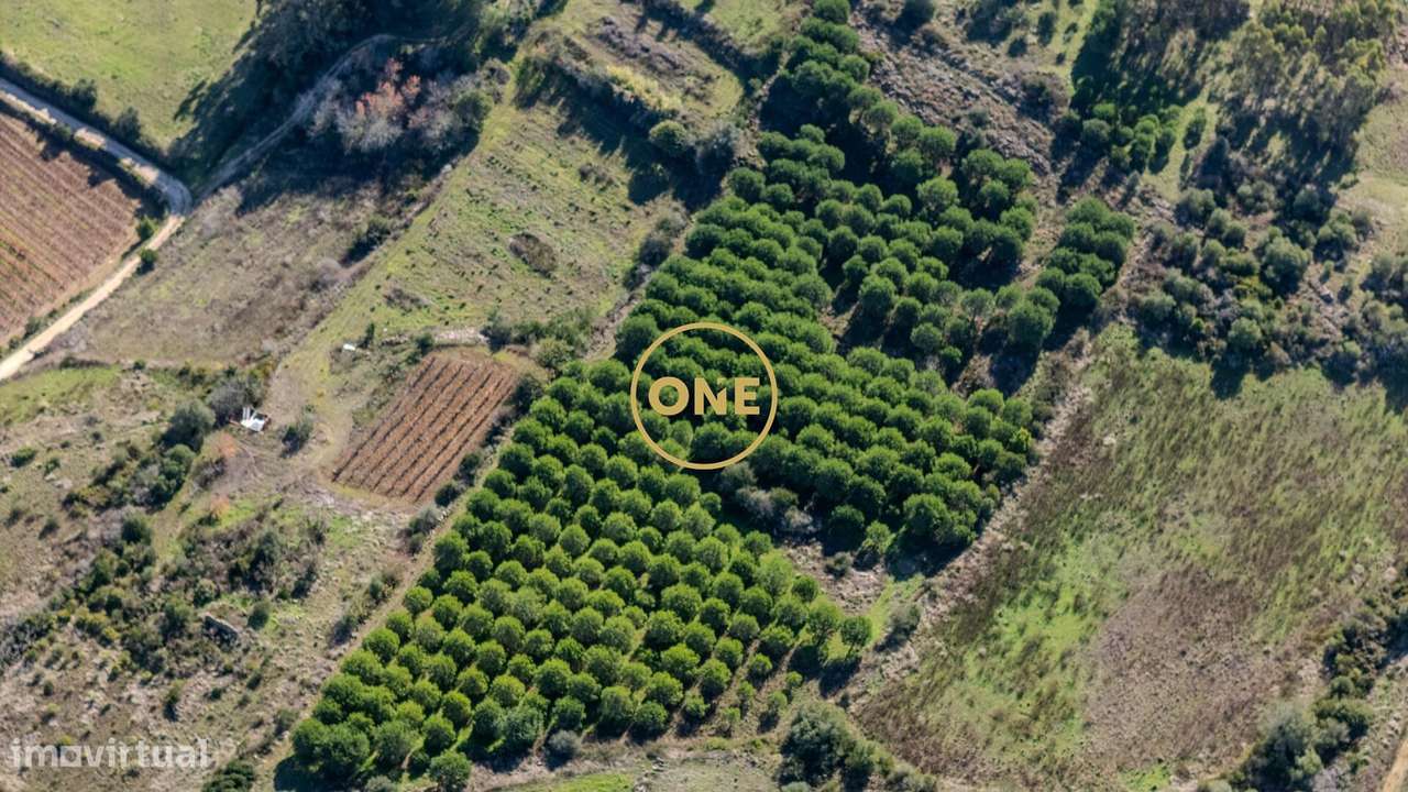 Moradia Térrea T2+1 com Terreno de 3,88 ha – Cruz do Vento, Carnota (A-25