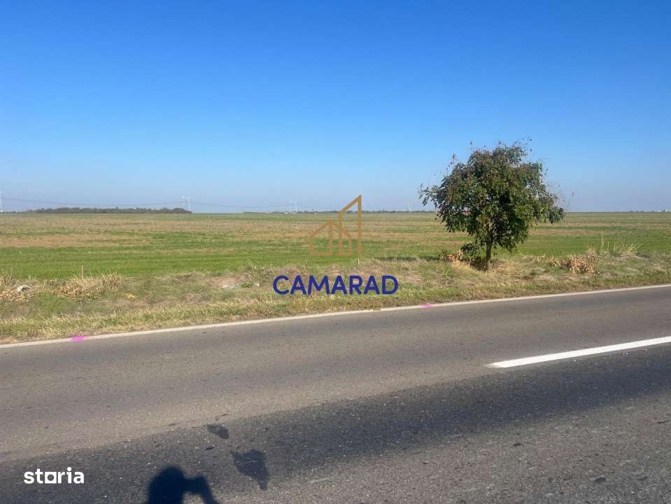 Teren de vanzare- deschidere DN4 138 m  –  Budesti, sat Gruiu - Cala - Imagine principală: 2/7