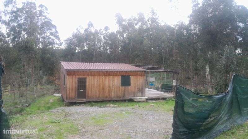 Vendo uma  terreno com uma casa com rodas - Grande imagem: 4/12