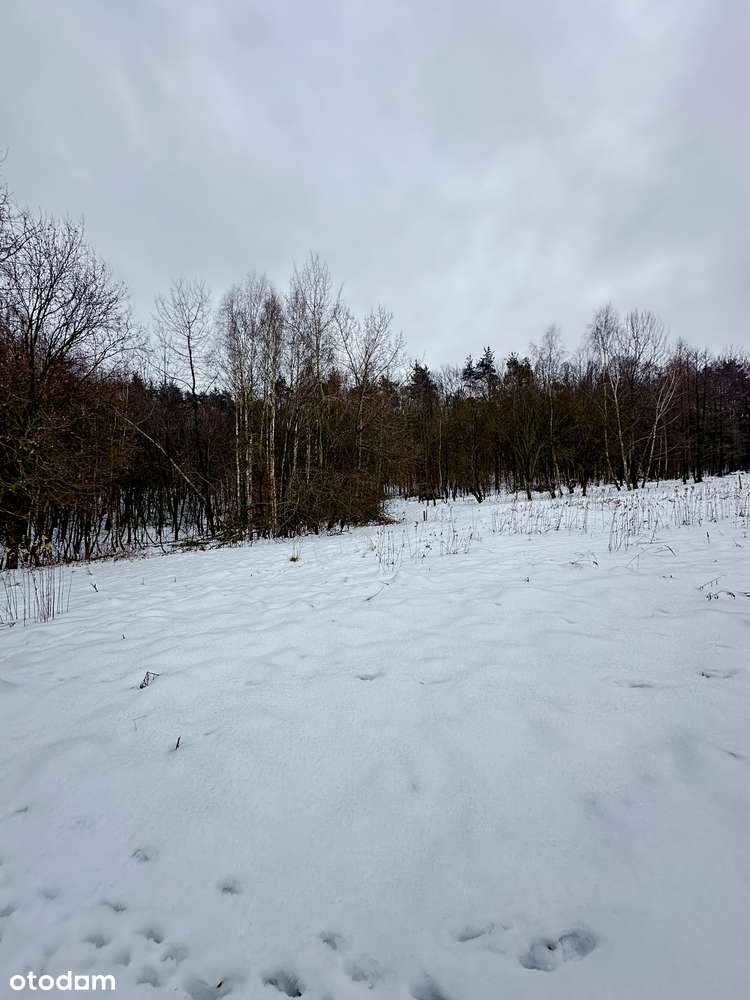 Duża działka pod lasem - Łazany blisko Wieliczki i Gdowa-4