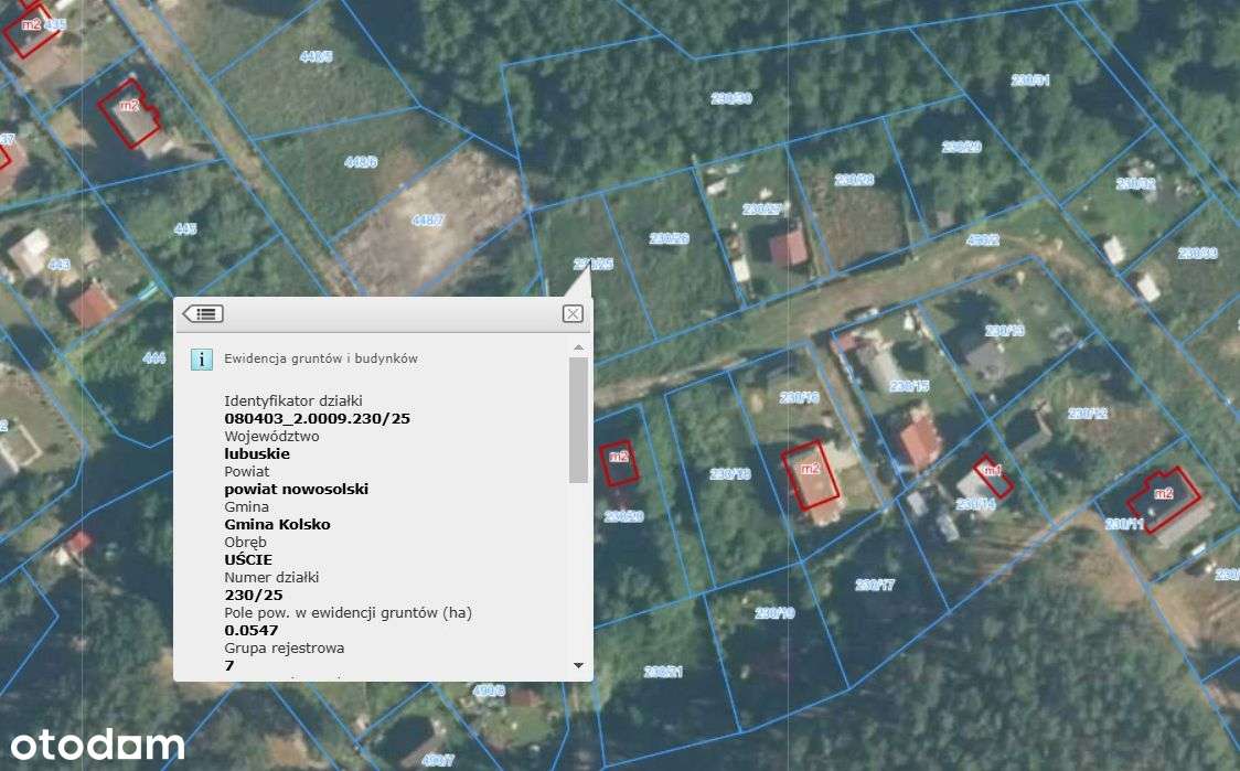 Działka na polanie otoczona lasem - Pełny obrazek: 4/4