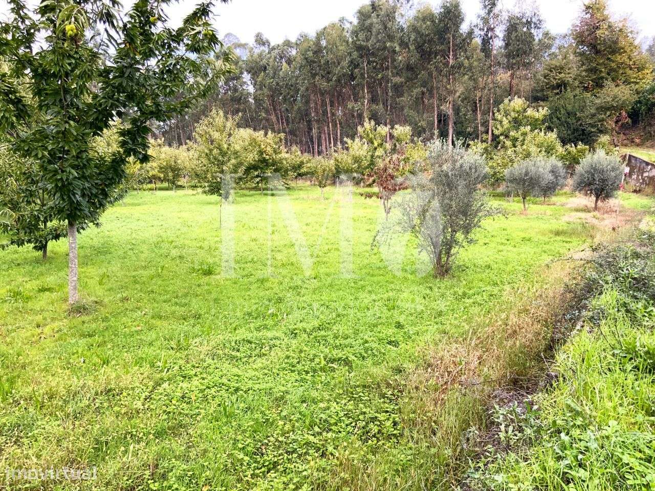 Terreno Rústico aprovado p/ Construção de Moradia - Rebordões Souto - Grande imagem: 4/11