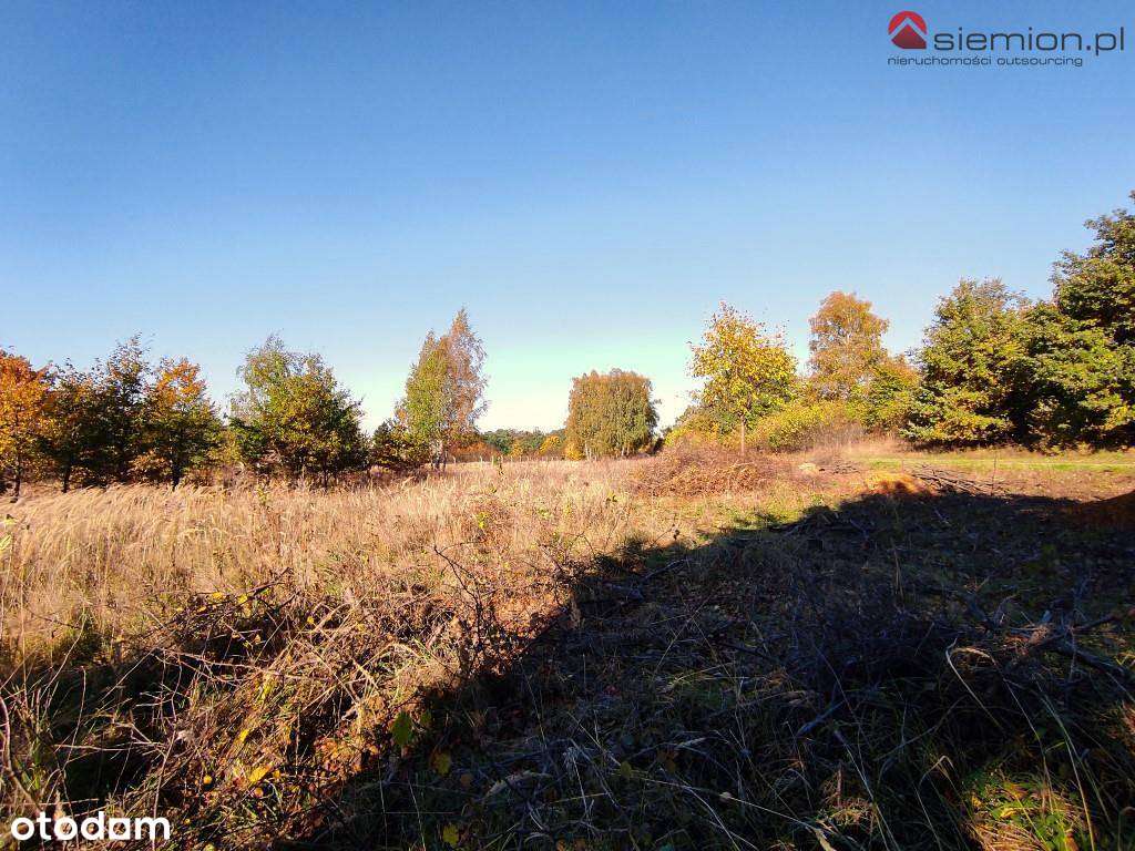 Atrakcyjna działka budowlana Rogoźnik-10