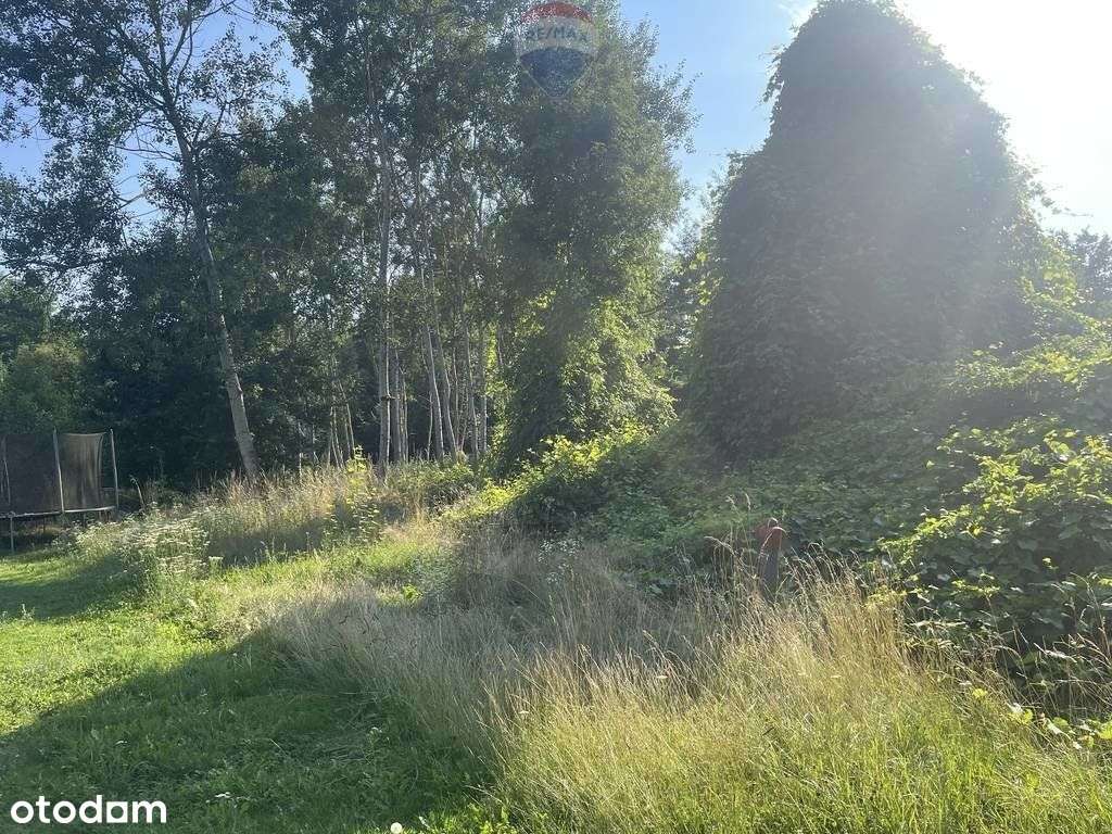 Działka budowlana Krzeczów | media | droga - Pełny obrazek: 5/11