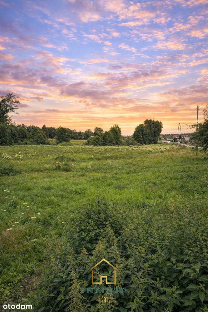 Działka z WZ 4900 m2 Milwino-5