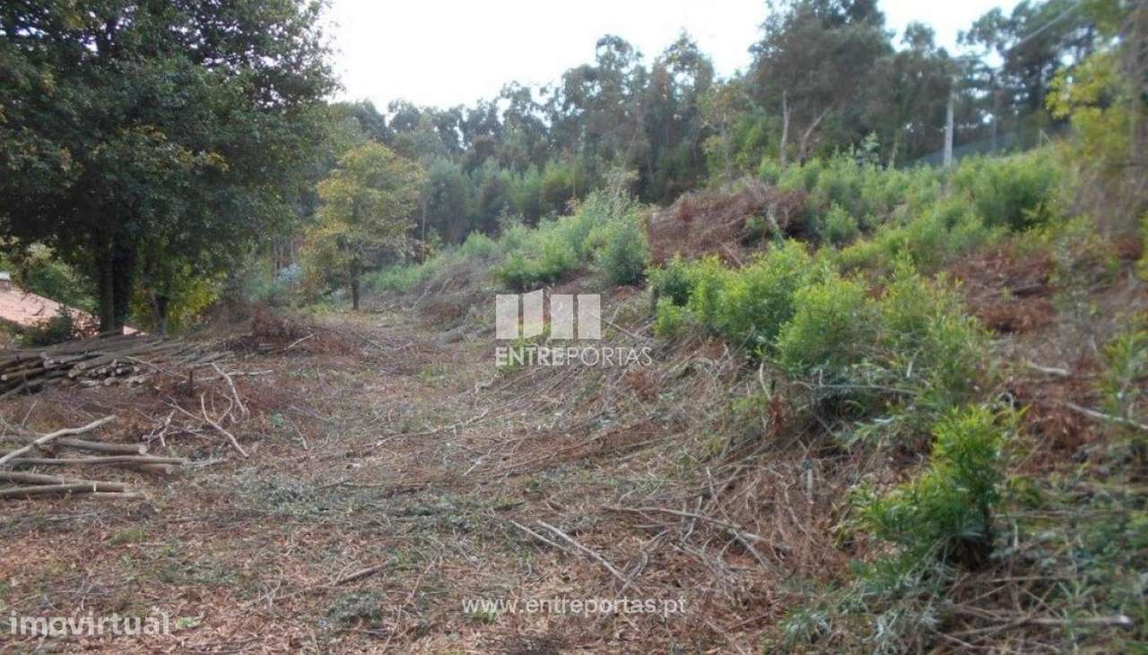 Terreno Venade - Grande imagem: 2/9