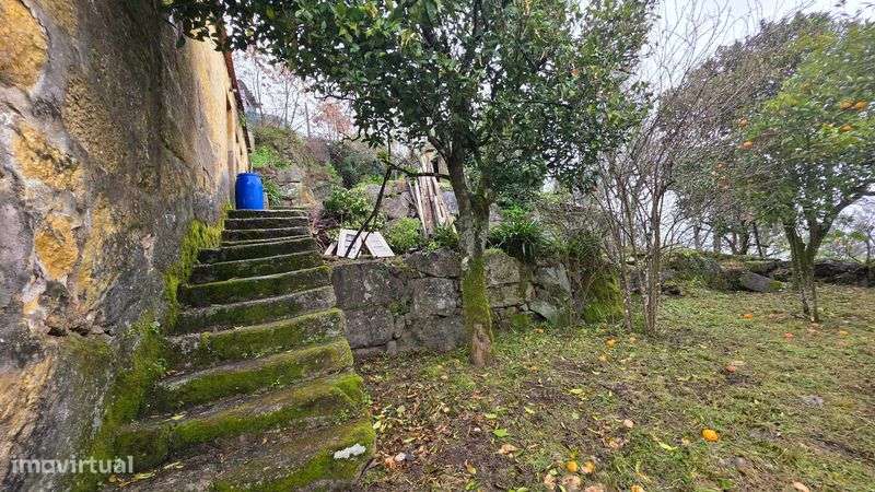 Moradia T3 com terreno - Grande imagem: 5/12