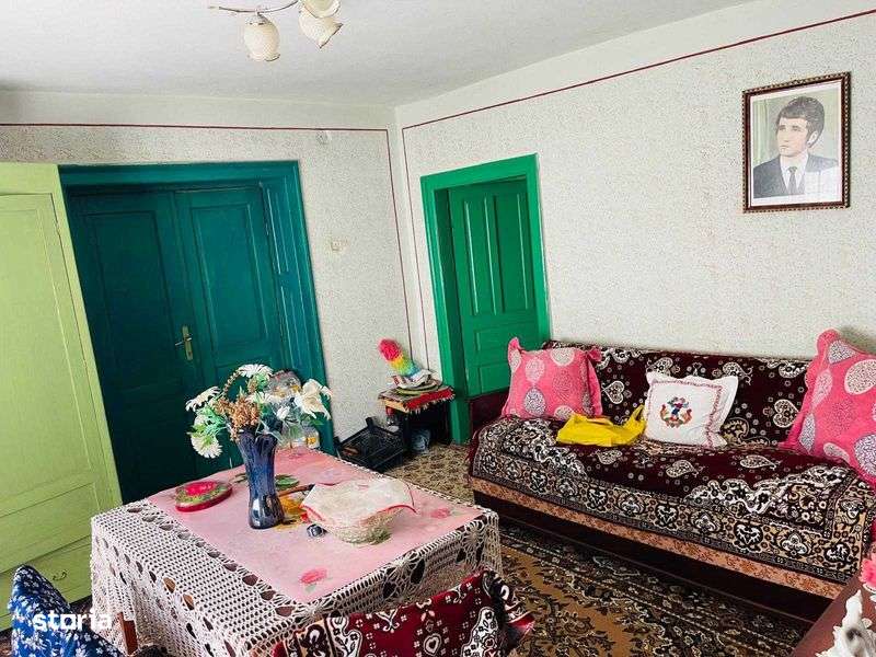 Case de vanzare si teren intravilan 1.566 mp - Scarisoara OLT - Imagine principală: 5/8