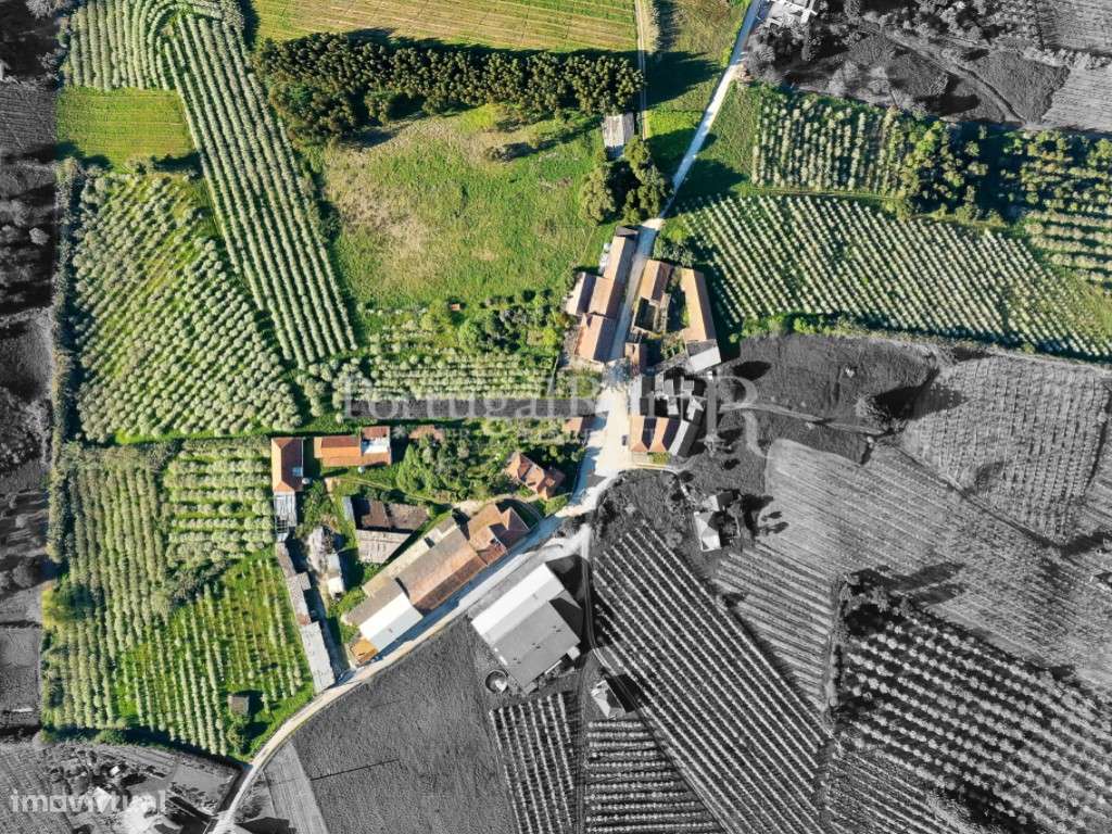 Antiga quinta agrícola com 11 hectares e 4700 m2 de construções, a ... - Grande imagem: 4/56