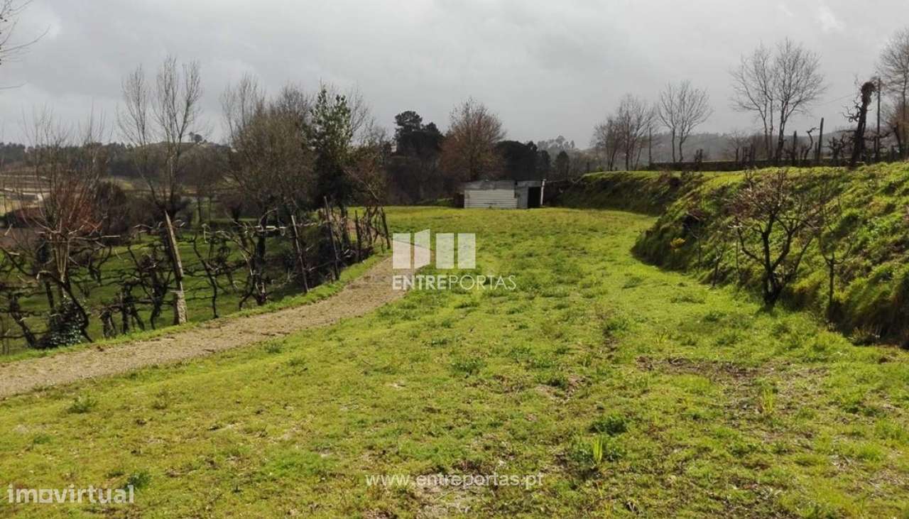 Venda Terreno, São Martinho de Recezinhos, Penafiel - Grande imagem: 4/14