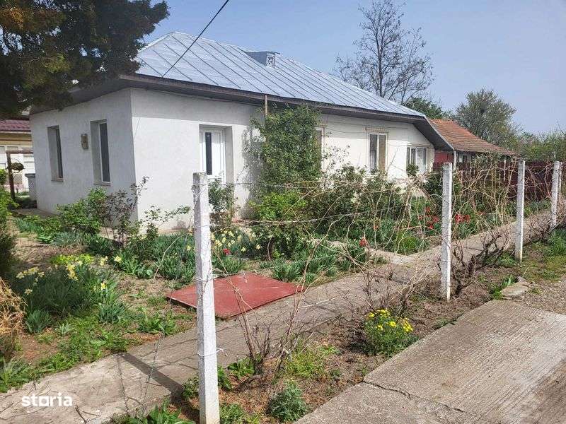 Schimb Casa Amara - Imagine principală: 4/8