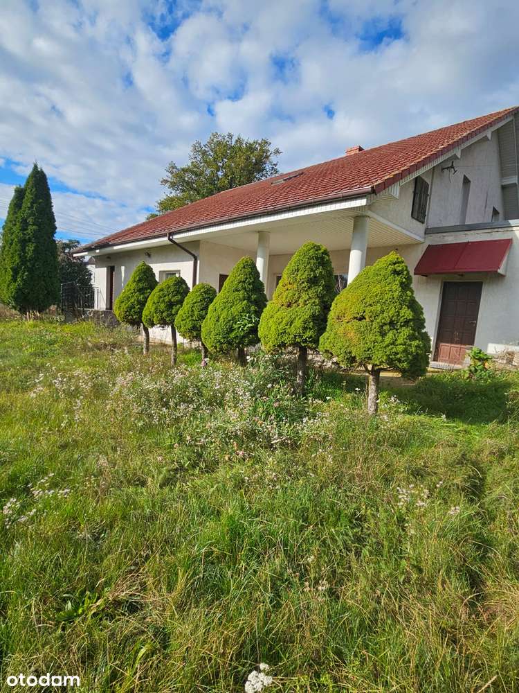 Dom 200m2 na wielkiej działce-świetna lokalizacja,jeszcze lepsza cena! - Pełny obrazek: 1/20