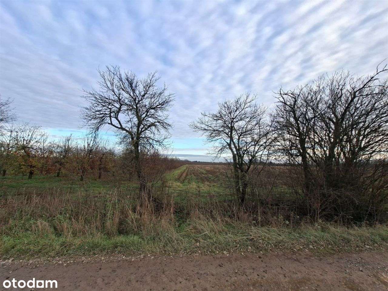 Działka rolna 1,7 ha, Czersk, gm. Góra Kalwaria-11