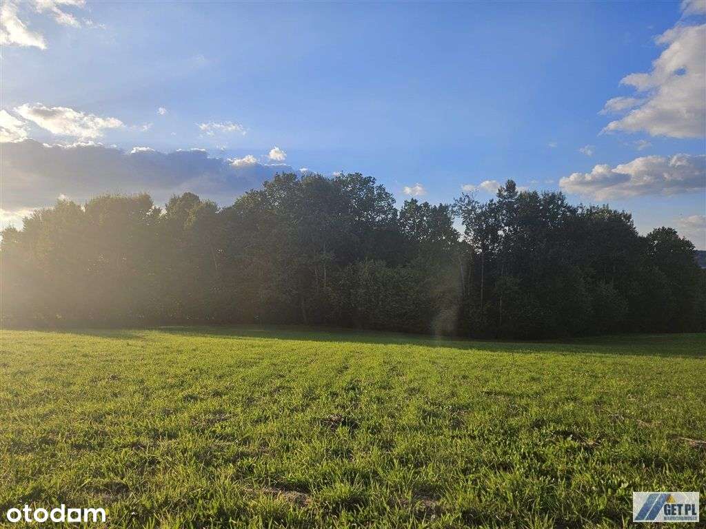 Działka, 3 300 m², Krzyszkowice - Pełny obrazek: 5/8