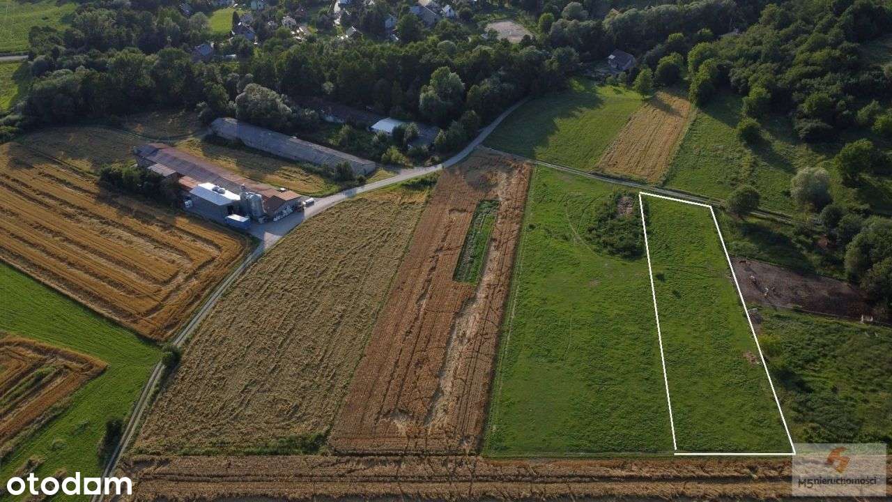 piękna działka 24 ary Radwanowice rolna > zagrodowa-9
