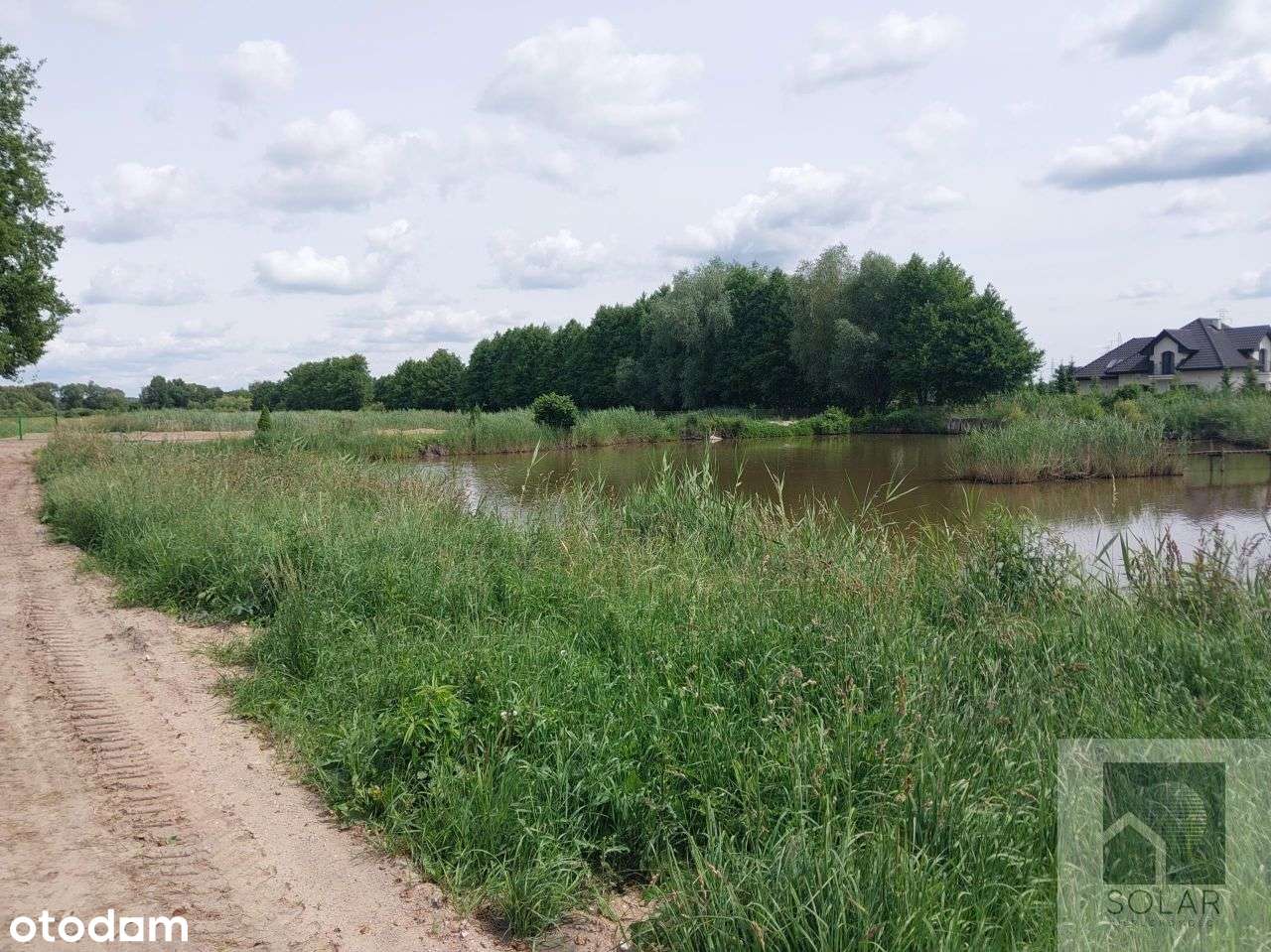 Działka, 7 915 m², Lisi Ogon - Pełny obrazek: 4/5