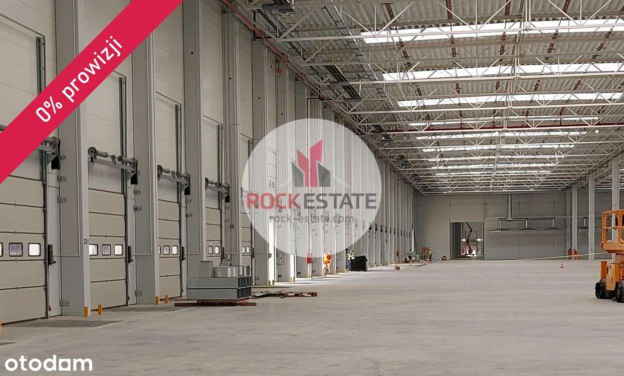 Magazyn w Tarnowie od zaraz 4tyś. m2 - 0% prow - Pełny obrazek: 5/5