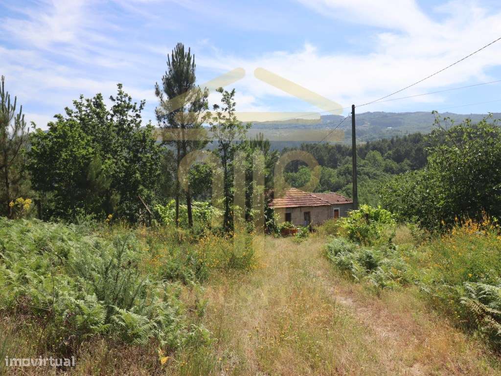 Terreno com 17.800 m², Casa para Reconstruir e mina de Água - Soalh...-20