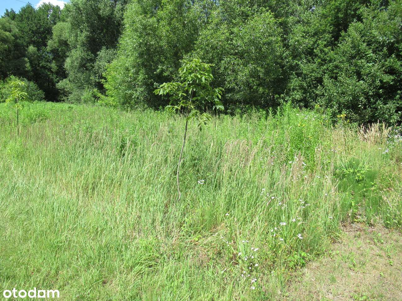 Sprzedam udział w: dom i działka-9