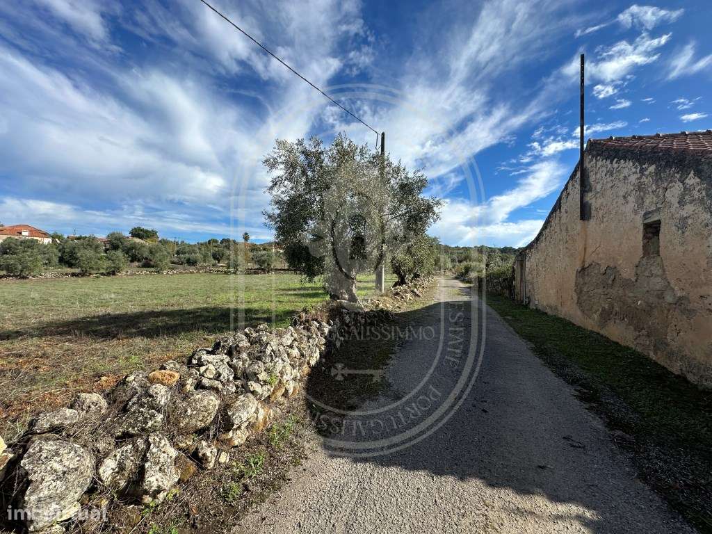 Tomar - Encantadora quinta para renovar com 11.600 m² de terreno co... - Grande imagem: 5/34