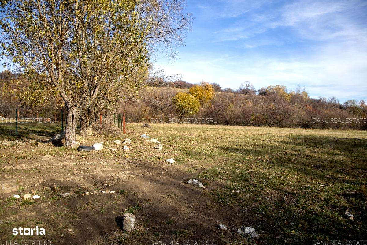 Comision0Teren intravilan 5723mp Zarnesti Tohanita-investitie - turism-11