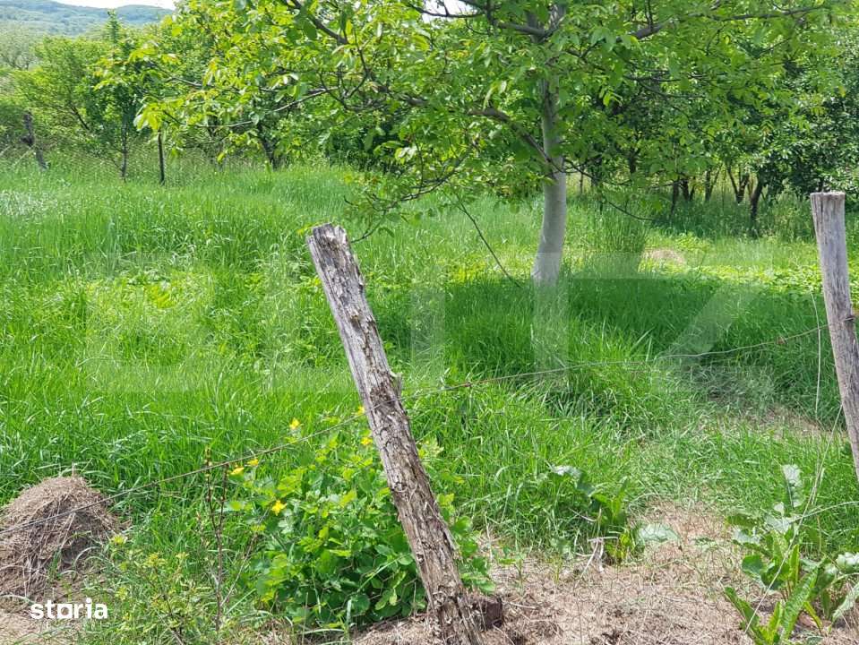 Casa traditionala, 70mp, teren 1574mp, zona Monor - Imagine principală: 5/8