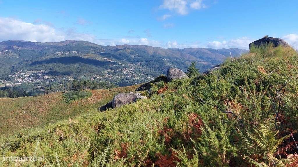 Bouça - Sequeiros - Grande imagem: 5/13