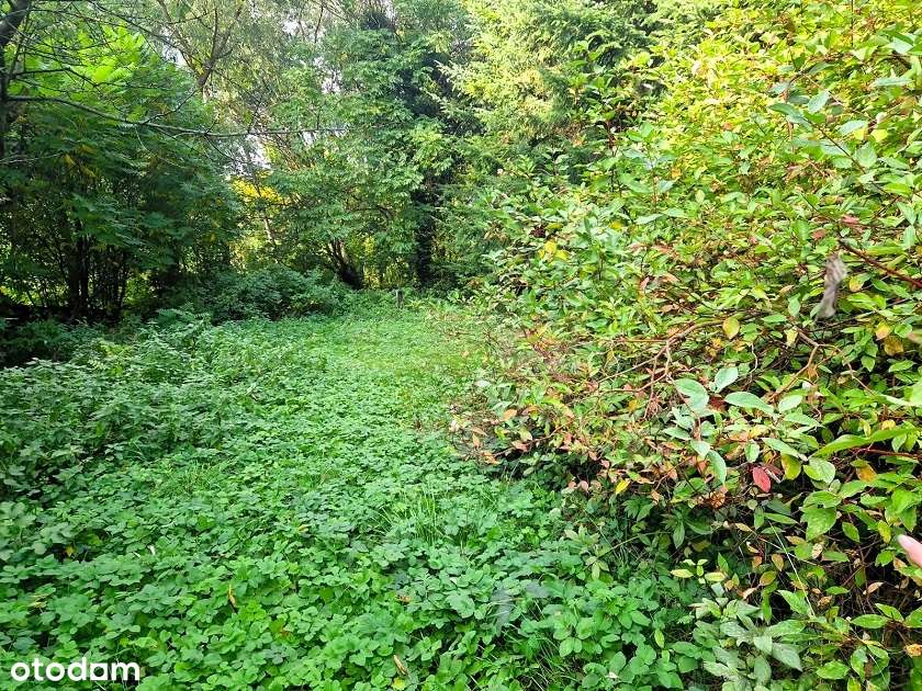 Działka budowlana o pow. 1 311m2/warunki zabudowy!-2