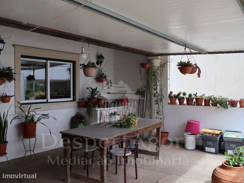 Moradia isolada na Golegã - Grande imagem: 4/18