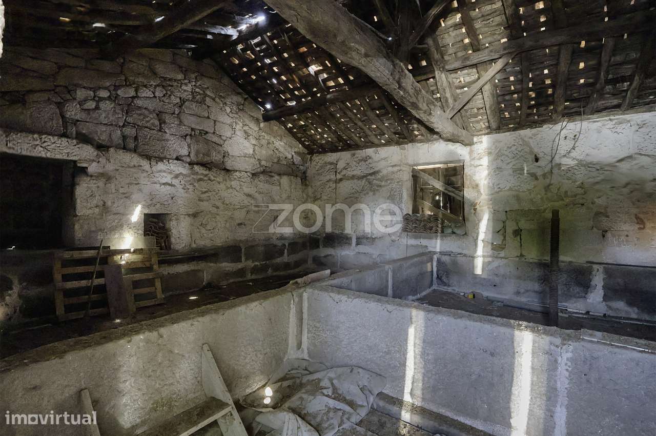 Moradia c/9 divisões, vinha e armazém em Lugar de São Gonçalo, Fava...-5