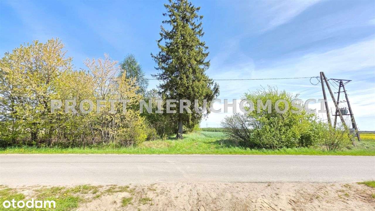 Działka budowlana z dojazdem z drogi asfaltowej - Pełny obrazek: 5/8