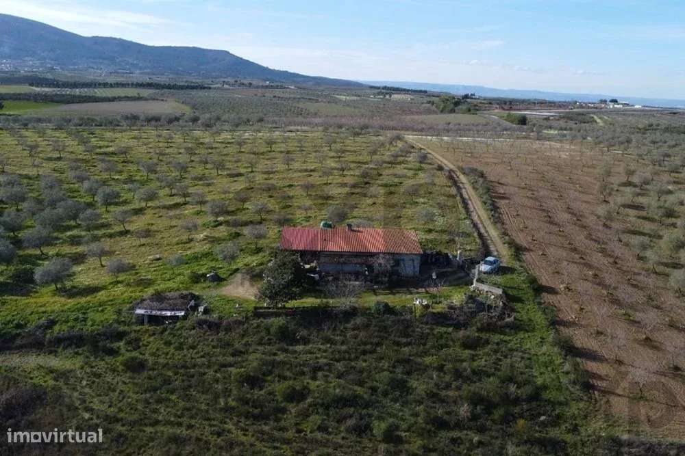 Encantadora Pequena Quinta à Venda nos Passos – O Refúgio Perfeito da - Grande imagem: 2/9