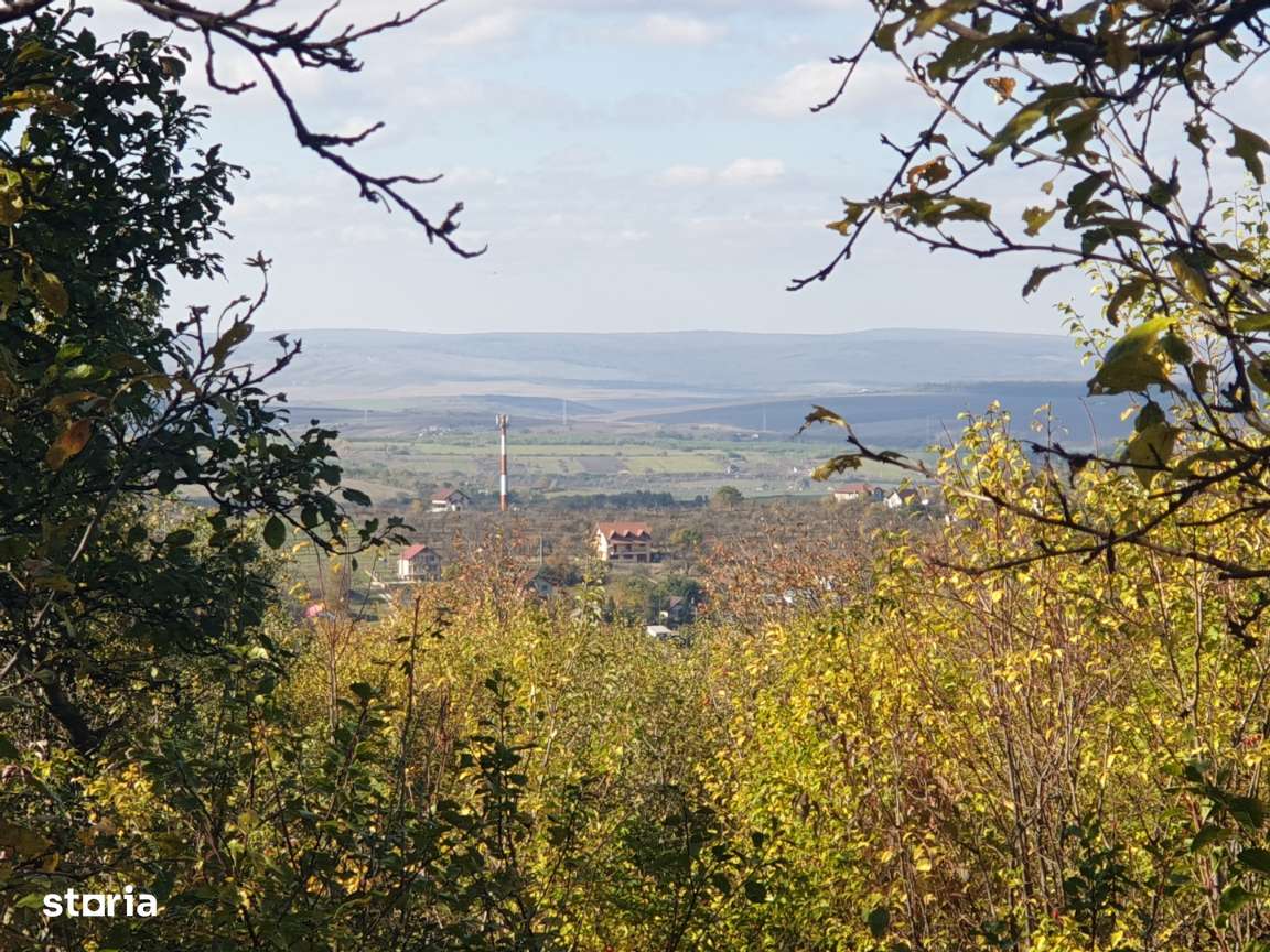 Teren intravilan ideal constructie casa - Pietraria - Barnova – IASI - Imagine principală: 2/20