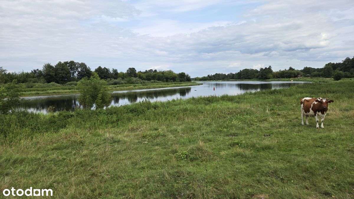 Dom, 85 m², Gostkowo-19