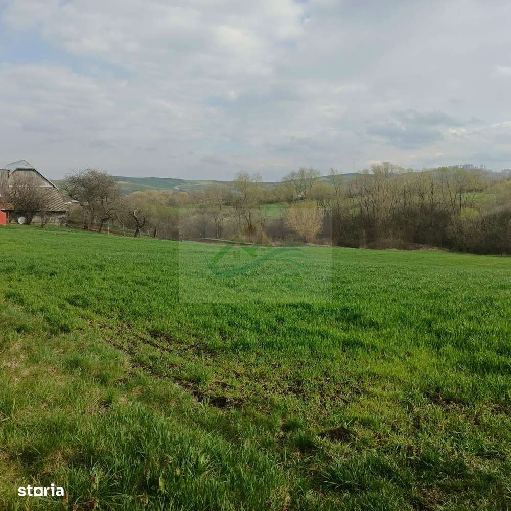 Teren intravilan Ilișești/Suceava - Imagine principală: 5/5