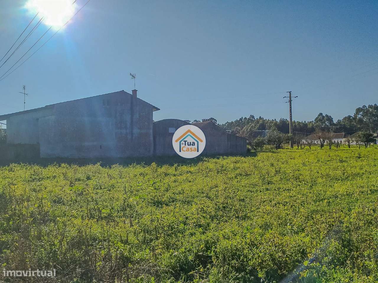 Terreno Urbano em Ervosas, Ílhavo - Grande imagem: 4/15