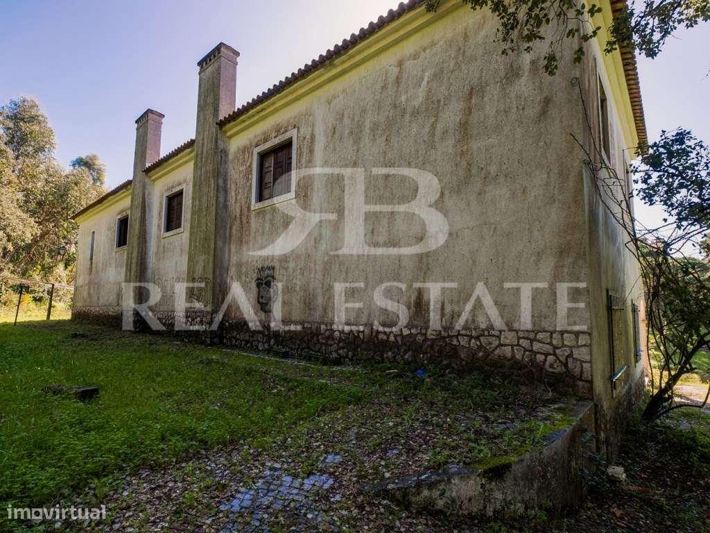 COUNTRY COTTAGE | Sesimbra-46