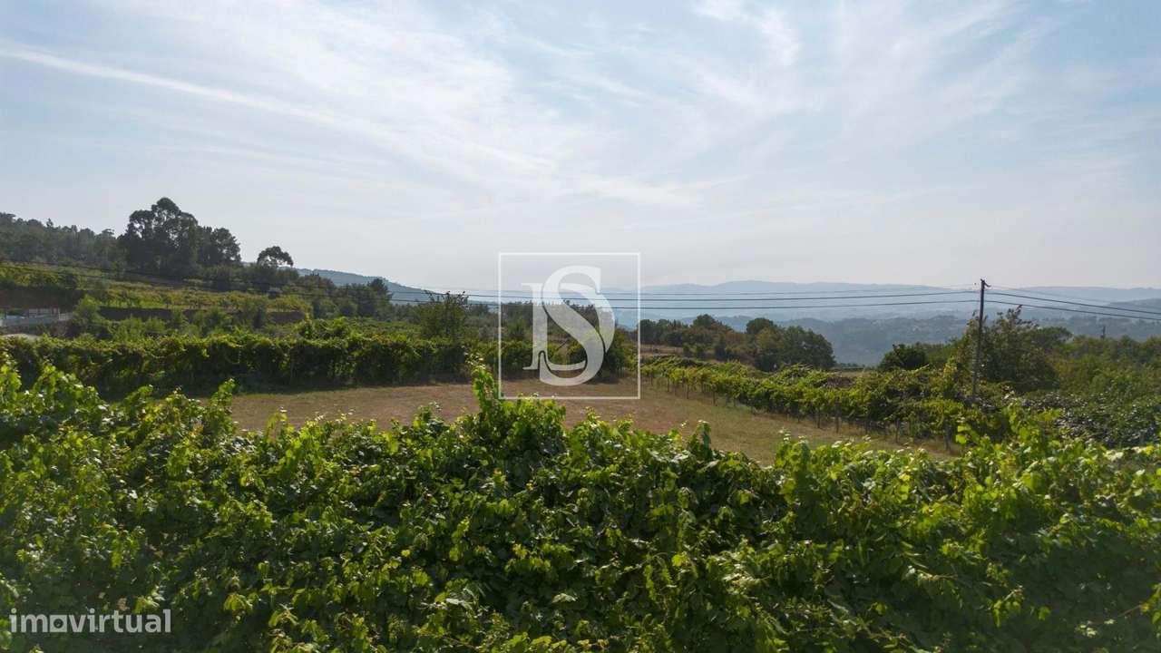 Terreno para construção S. Simão Amarante - Grande imagem: 4/25