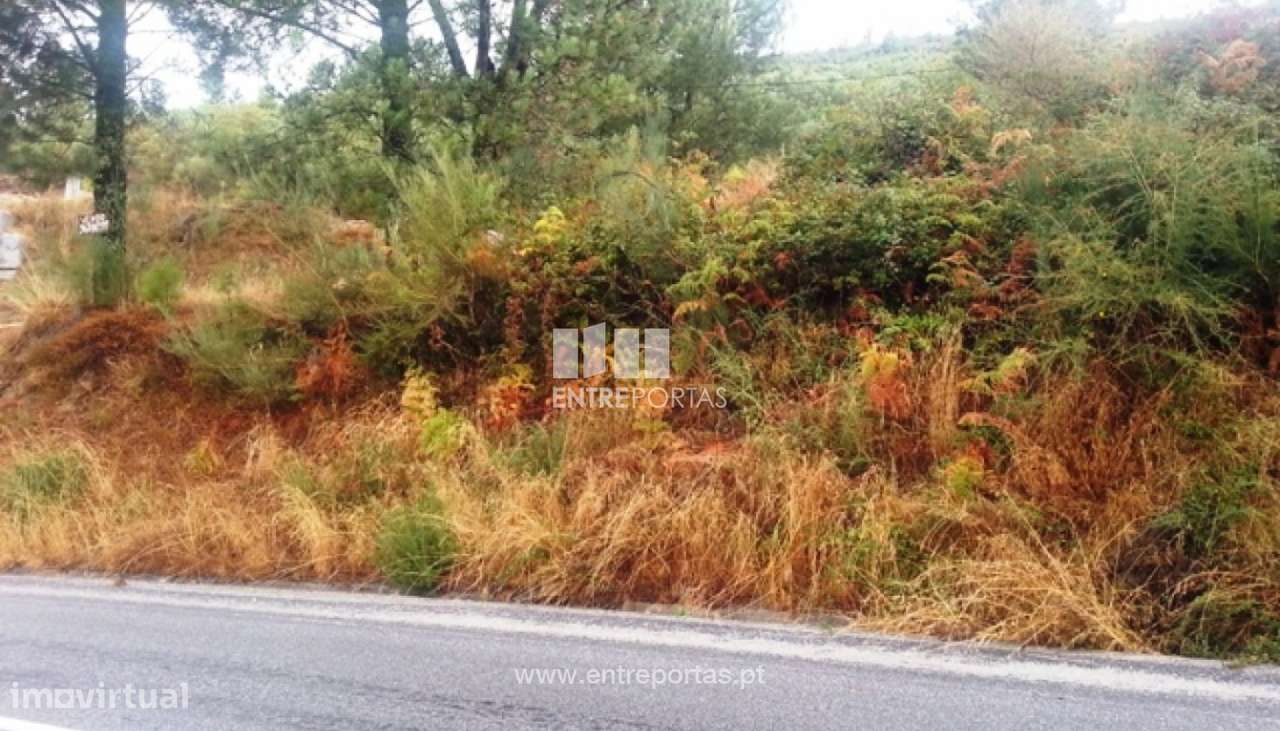 Venda Terreno, Ovil, Baião - Grande imagem: 5/8