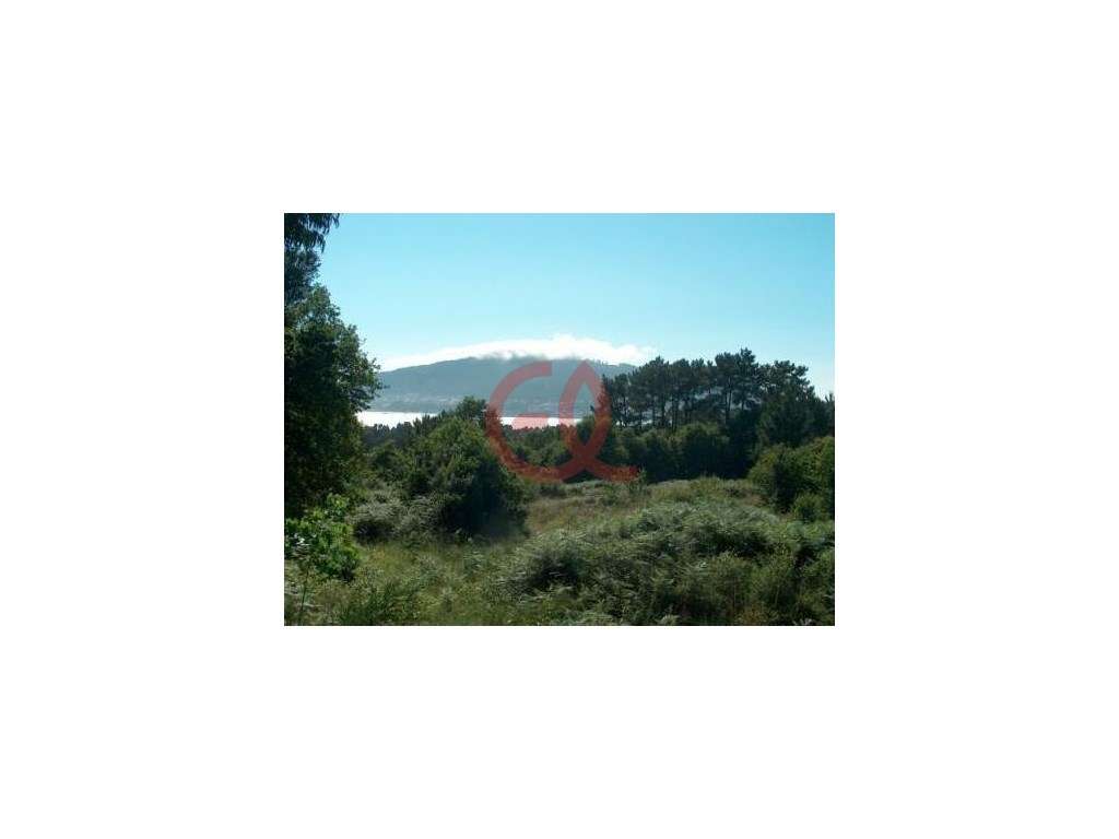 Terreno - Seixas - Caminha - Grande imagem: 5/12