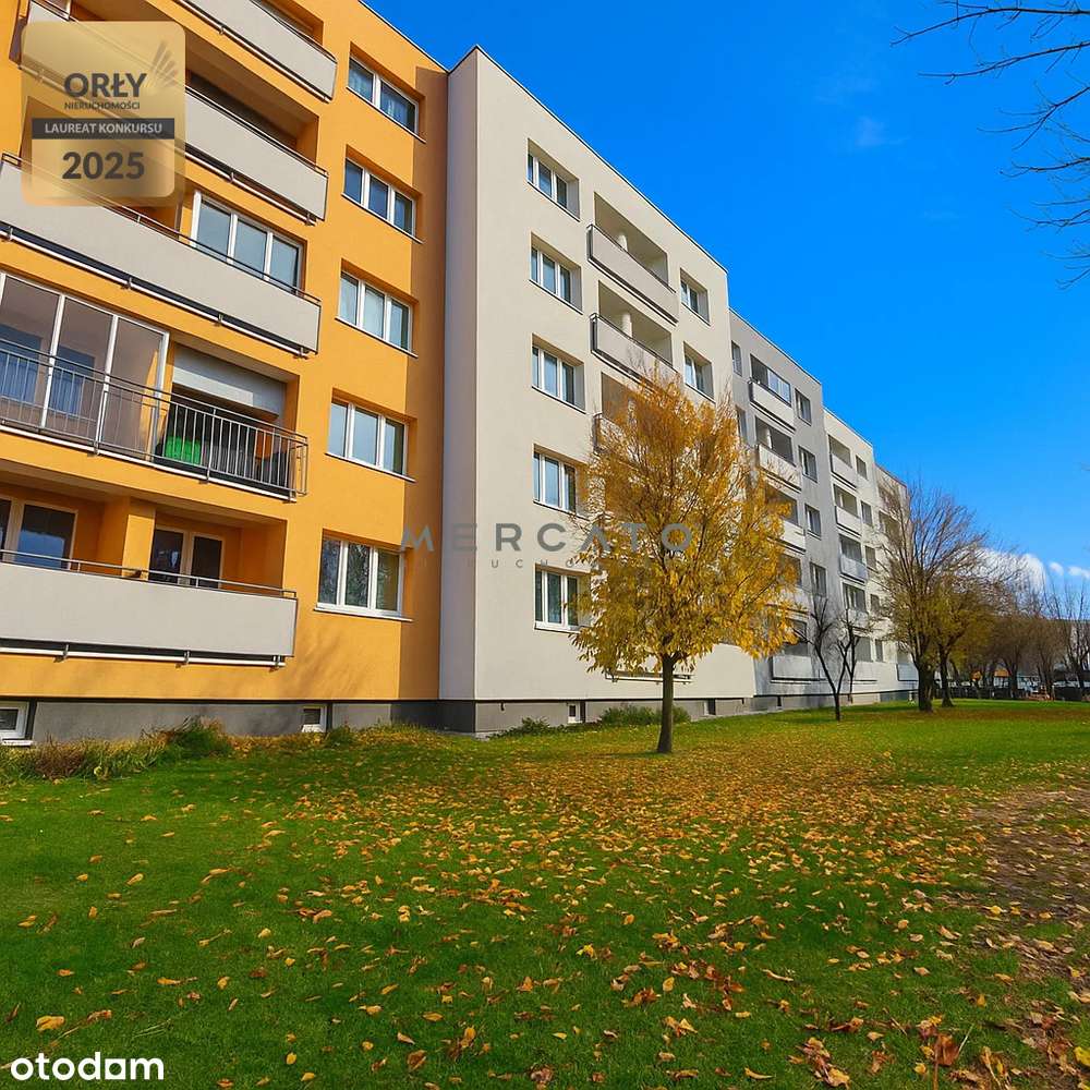 3 pokoje, ul. Młodzieżowa, Płońsk-13