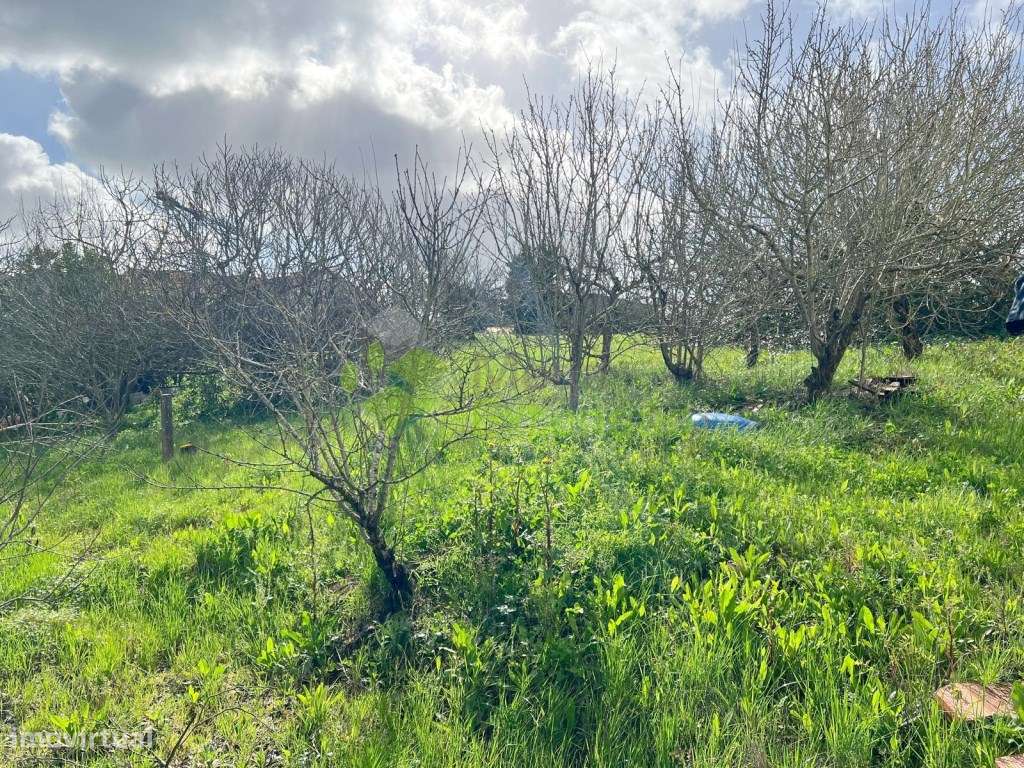 Moradia T3, com Terreno de 1080 m2, no Centro da Vila do Cadaval, c...-9