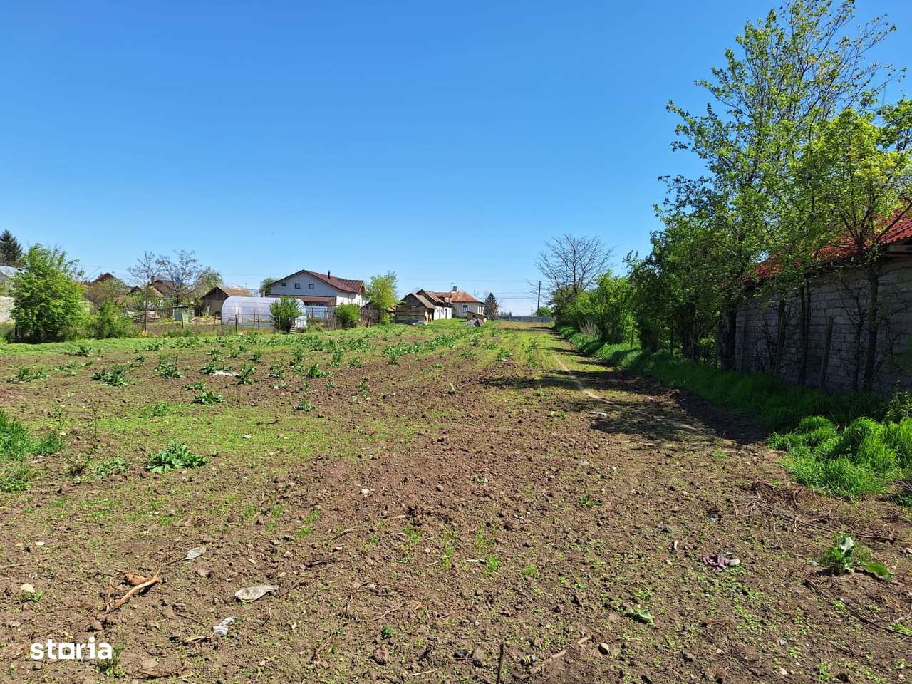 Teren + Casă bătrânească | Comuna Smeeni, jud. Buzău | 2.878 mp - Imagine principală: 3/8