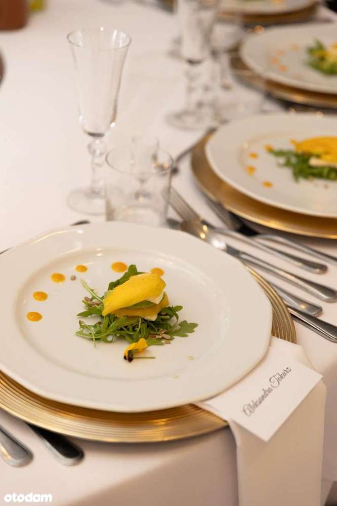 Obiekt usługowy LIMANOWA wraz z działką sąsiadującą P/U-13