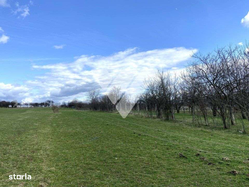 Teren Rasinari 3500 mp extravilan - Imagine principală: 3/5