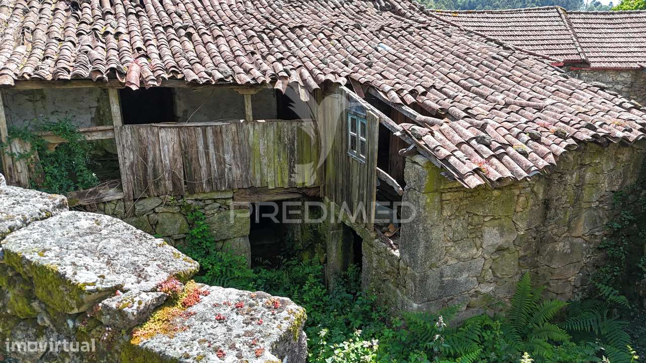 Moradia em Ruina - Grande imagem: 4/16