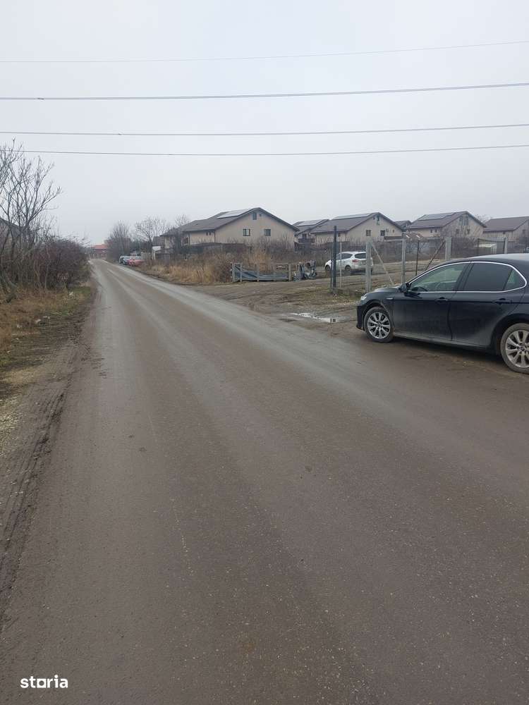 Clinceni - Olteni, Strada Fortului, Stradal-8